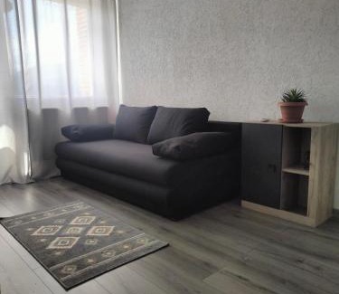 Petrosani Apartment | Mountain View Apartment