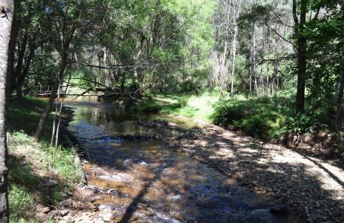 Harrietville Hotel | Mountain View Holiday Retreat