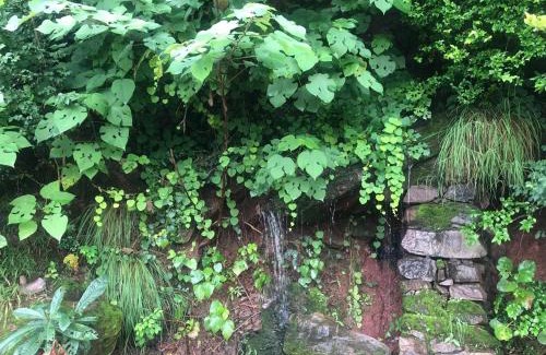 Islamabad Hotel | Mountain View Resort