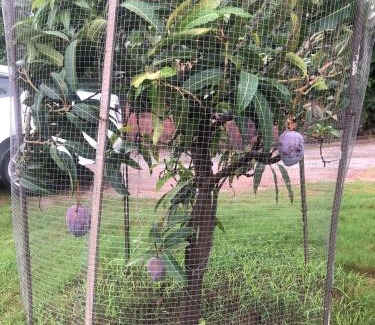 Islamabad Hotel | Mountain View Resort