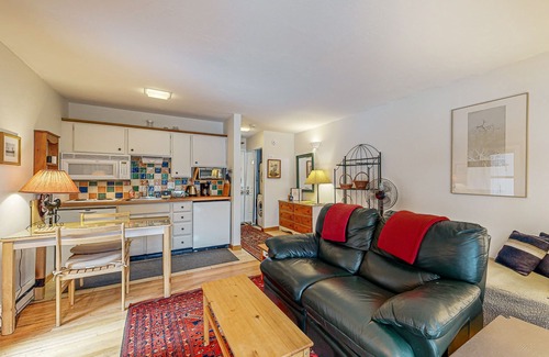 Warm Springs Apartment | Mountain-view studio with patio - walk to Bald Mountain chairlifts