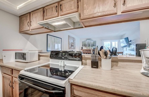 Frisco Condo | Mountainside 229e 1 Bedroom Condo by RedAwning