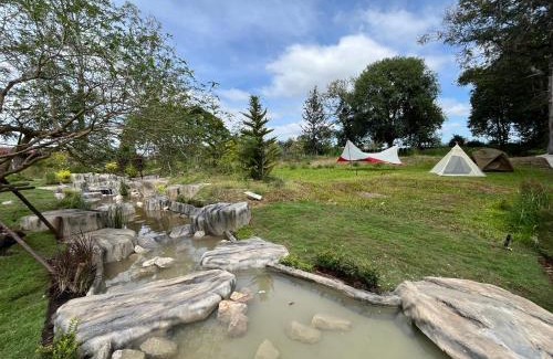 Khanong Phra Other | Moyard Khaoyai