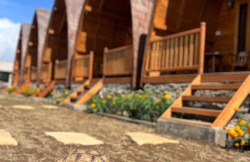 Bedugul Cabin | MR GLAMPING & VILLA