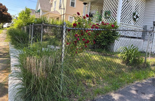 Downtown Rochester House | Ms P Place