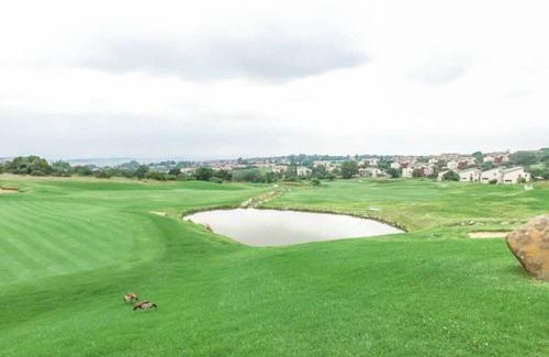 Greater Johannesburg Metropolitan Area Apartment | Mseleku Home from home