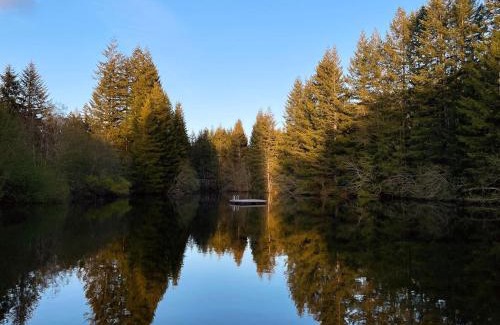 Paradise Estates House | Mt Rainier Little Green Cabin On Big Creek!