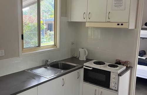 Mount Warning Other | Mt Warning Rainforest Park