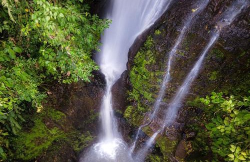 Quimbaya Hotel | MuchoSur Quimbaya