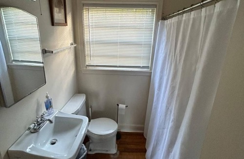 Tougaloo House | Mural House - Delightful 3 Br 2 Bath home in Fondren Area