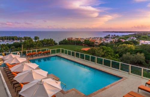 Coconut Grove Hotel | MVR Suite Book Before These Sunset Views Are Gone