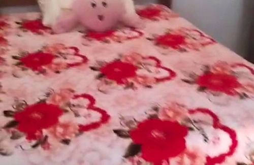 Itaparica House | My Little Corner of Peace