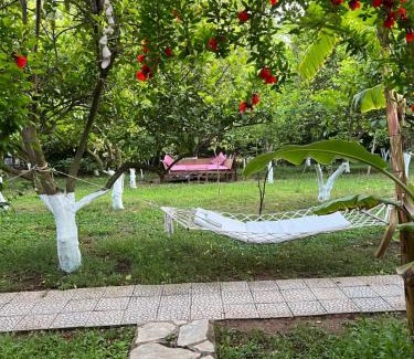 Cirali Resort | Myland Nature