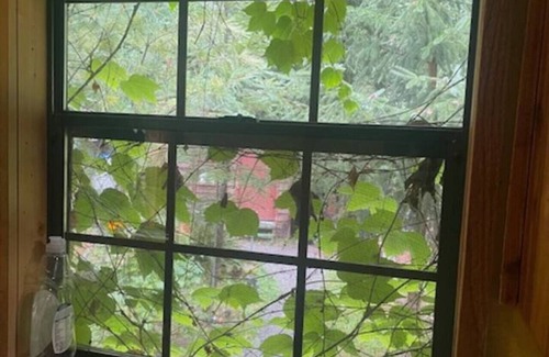 Marblemount Cabin | Mystic Ivy on the Cascade River