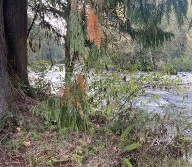 Marblemount House | Mystic Ivy