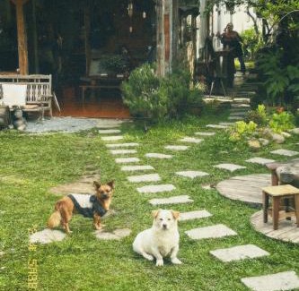Da Lat House | Nấp Đà Lạt