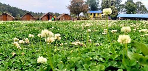 Naina Range Other | Nainital Camp Wildland & Farmstay