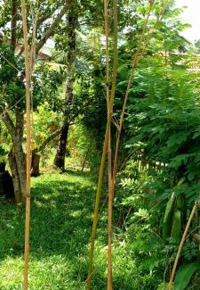 Ahangama Villa | Nakanda Mini Oaicis