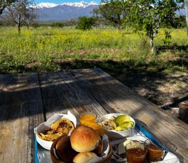 Los Arboles House | Namakai.tinyhouse, minimalism in a magic place