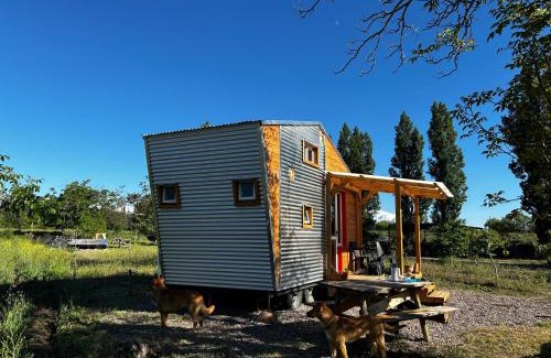 Los Arboles House | Namakai.tinyhouse, minimalism in a magic place