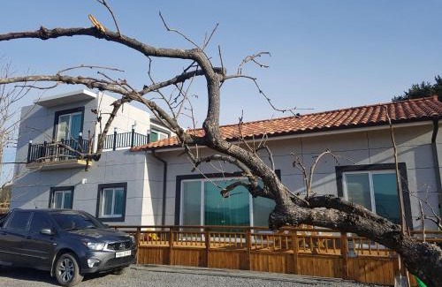 Namhae House | Namhae One Fine Day Private Pension