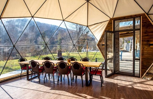 Kaynaslı Other | Nandu Doğal Yaşam Çiftliği