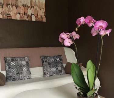 Begles Apartment | Nano House