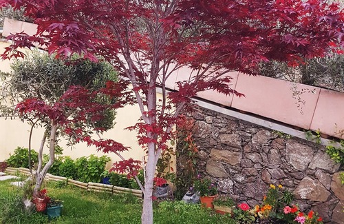 Vezzi Portio House | Natura villa with panoramic view