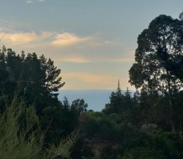 Algarrobo House | Naturaleza viva