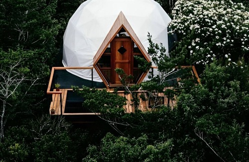 Monteverde Cabin | Naturave #2 Into the woods