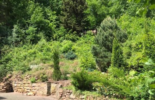 Melsungen House | Nature Living - Ferienhaus mit Kamin - Feuerschale - Garten - mit beheizbarem Gartenwhirlpool