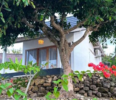 Penida Island Cabin | Nature View Inn Private House