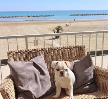 Viserba Hotel | Nautic Beach Hotel