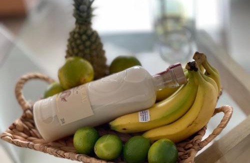 Pointe-a-Pitre Apartment | Nawalie