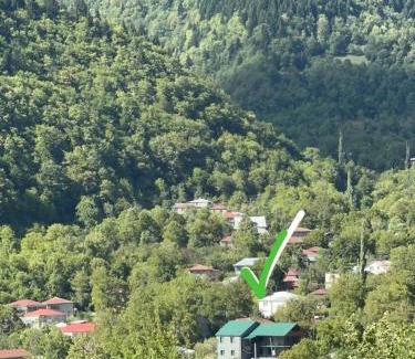 Racha-Lechkhumi and Lower Svaneti Hotel | Neba-Neba Utsera