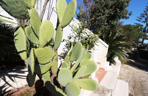 Otranto House | Negroamaro House Torre Santo Stefano Otranto