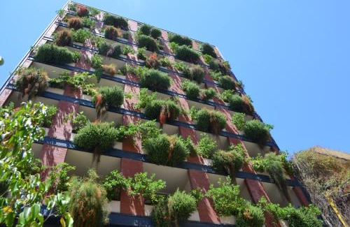 Sodeco Apartment | Nest 1 Hotel