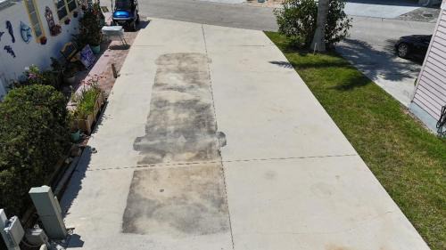 Nettles Island Other | Nettles Island 0338