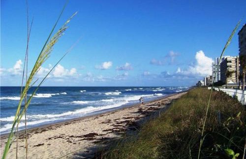 Nettles Island Other | Nettles Island 0338