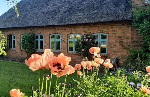 Braderup Apartment | NEU Feriendomizil Nordfriesland Pur
