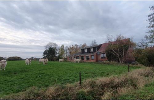 Jaderaltendeich Apartment | NEU! FeWo Deichblick OG am Jadebusen/Nordseeküste