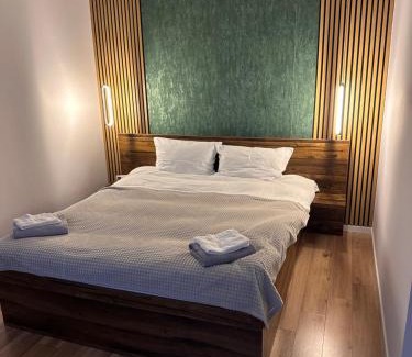 Fagaras Apartment | Neva Apartments & Rooms