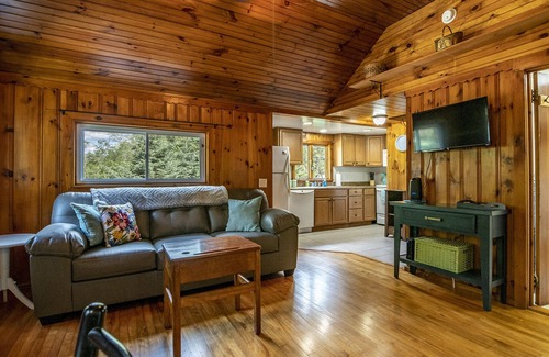 Wilmington Cabin | ❤️New! 2.5 mi to Whiteface- ADK Cabin w/Fire pit
