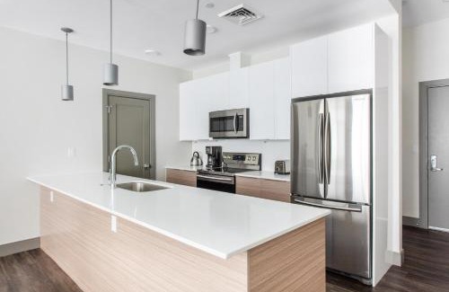 Somerville Apartment | New build Sommerville 2BR w Rooftop WD in unit BOS-366