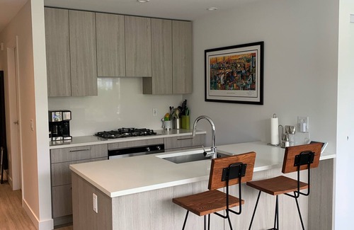 Lower Lonsdale Condo | New Condo in Parklike setting