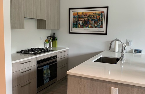 Lower Lonsdale Condo | New Condo in Parklike setting