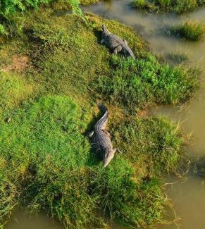 Debarawewa Hotel | New Cormorant Lake Resort & Yala Safari Place