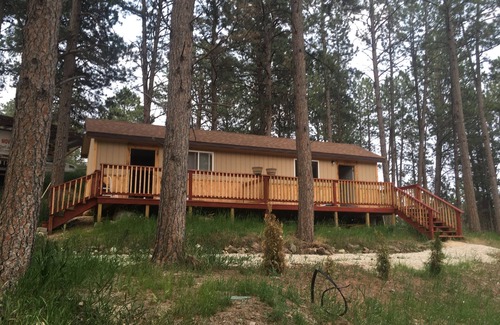 Custer Cabin | New Cozy cabin 2, with WiFi in beautiful Custer! Rental car available.