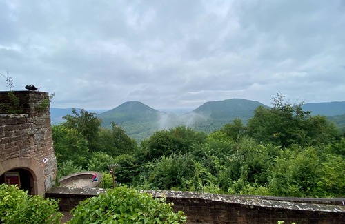 Leimen Apartment | New exclusive 85 sqm vacation apartment in the Palatinate Forest biosphere reserve