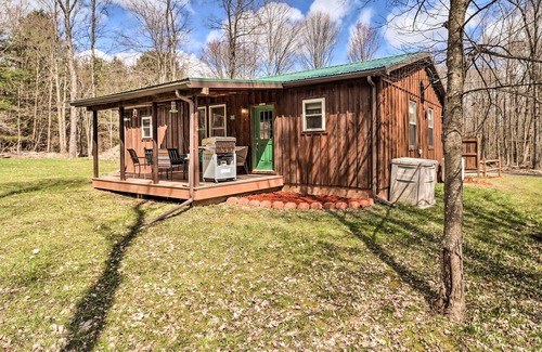 Granville Summit Cabin | NEW! Forksville Mountain Lodge Retreat w/ Porch!